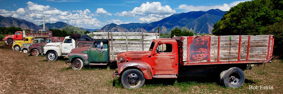 Old Trucks lined up Panorama