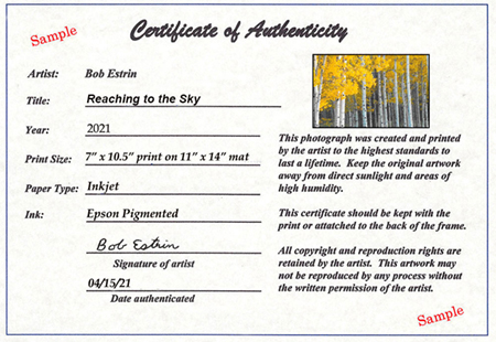  Certificate of Authenticity