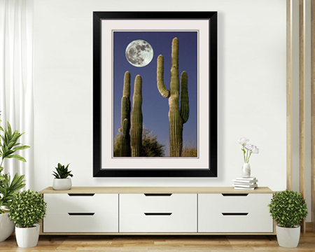 Saguaro Cactus with Moon
